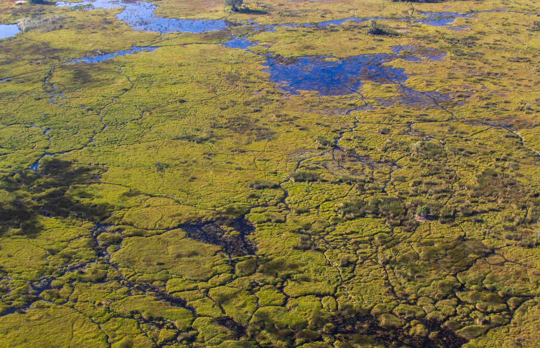 Delta de l'Okavango Kwando Safaris - Séjour Botswana