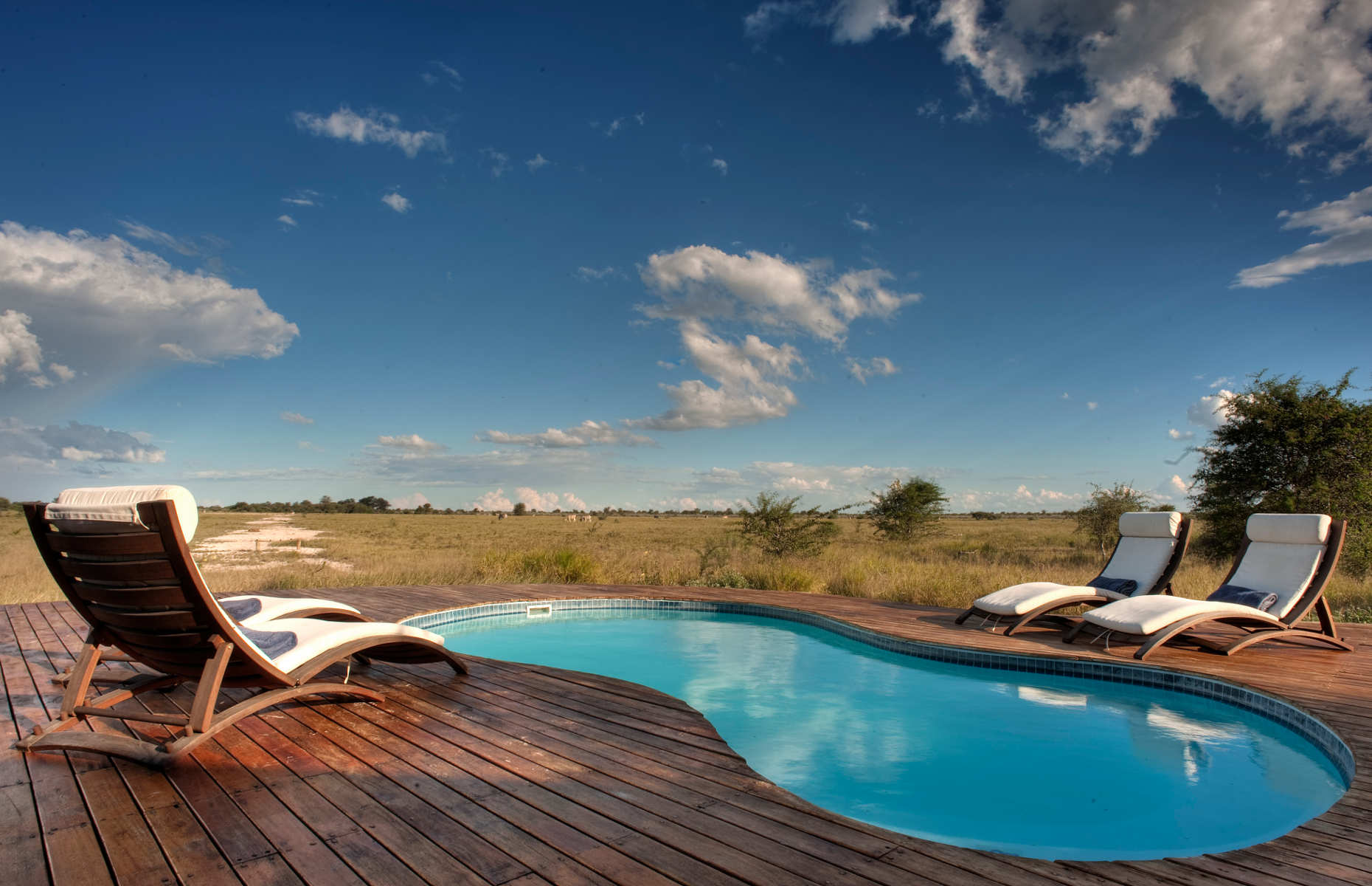 Piscine Tau Pan Camp Kwando Safaris - Séjour Botswana