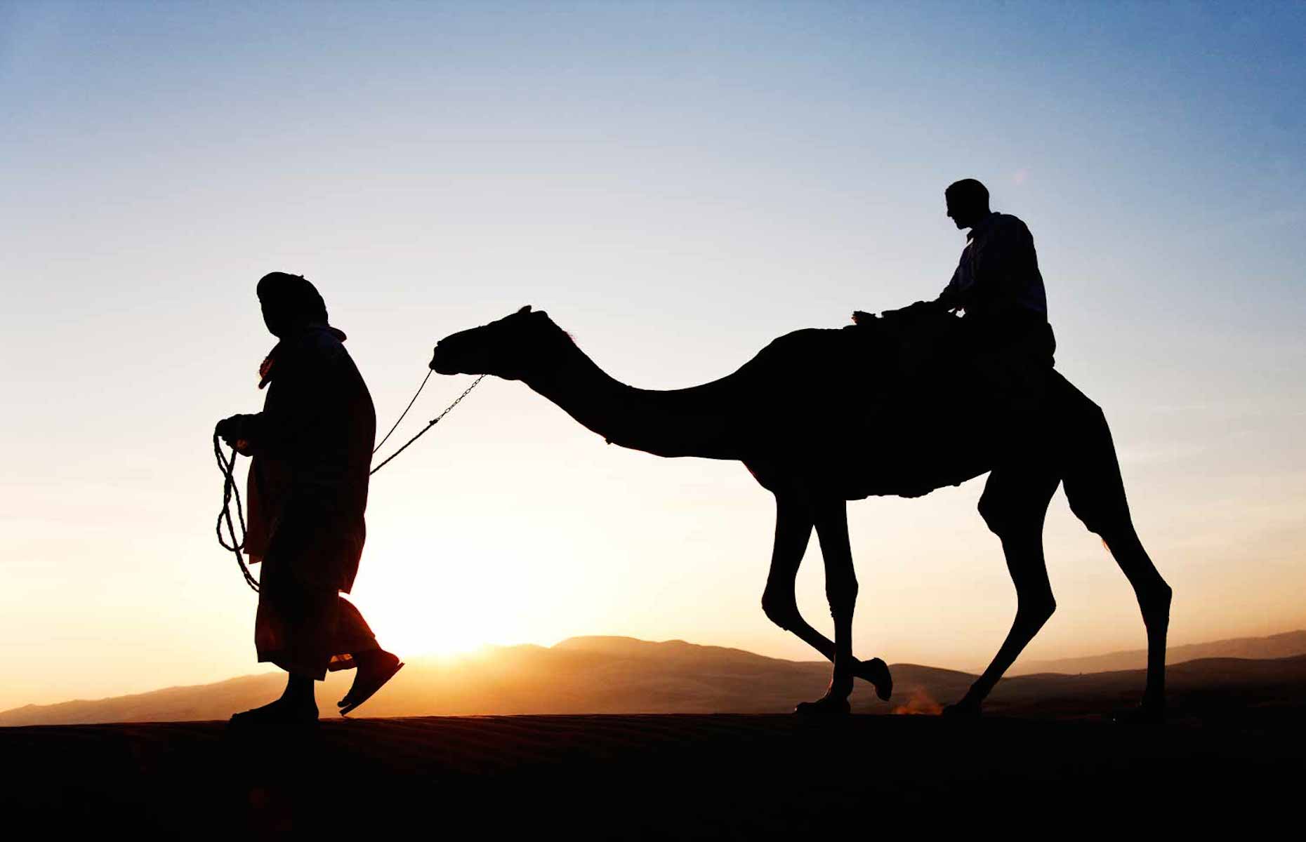 Traversée du Désert à Dos de Dromadaire - Voyage Abu Dhabi