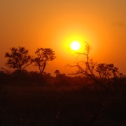 Voyage sur mesure Botswana
