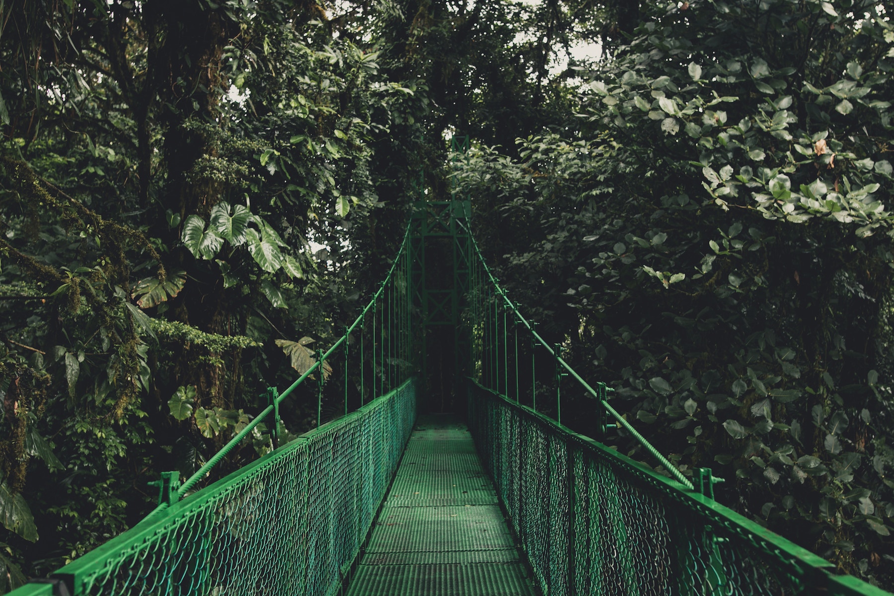 Pont Suspendu- Voyage Costa Rica