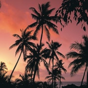 voyage fidji