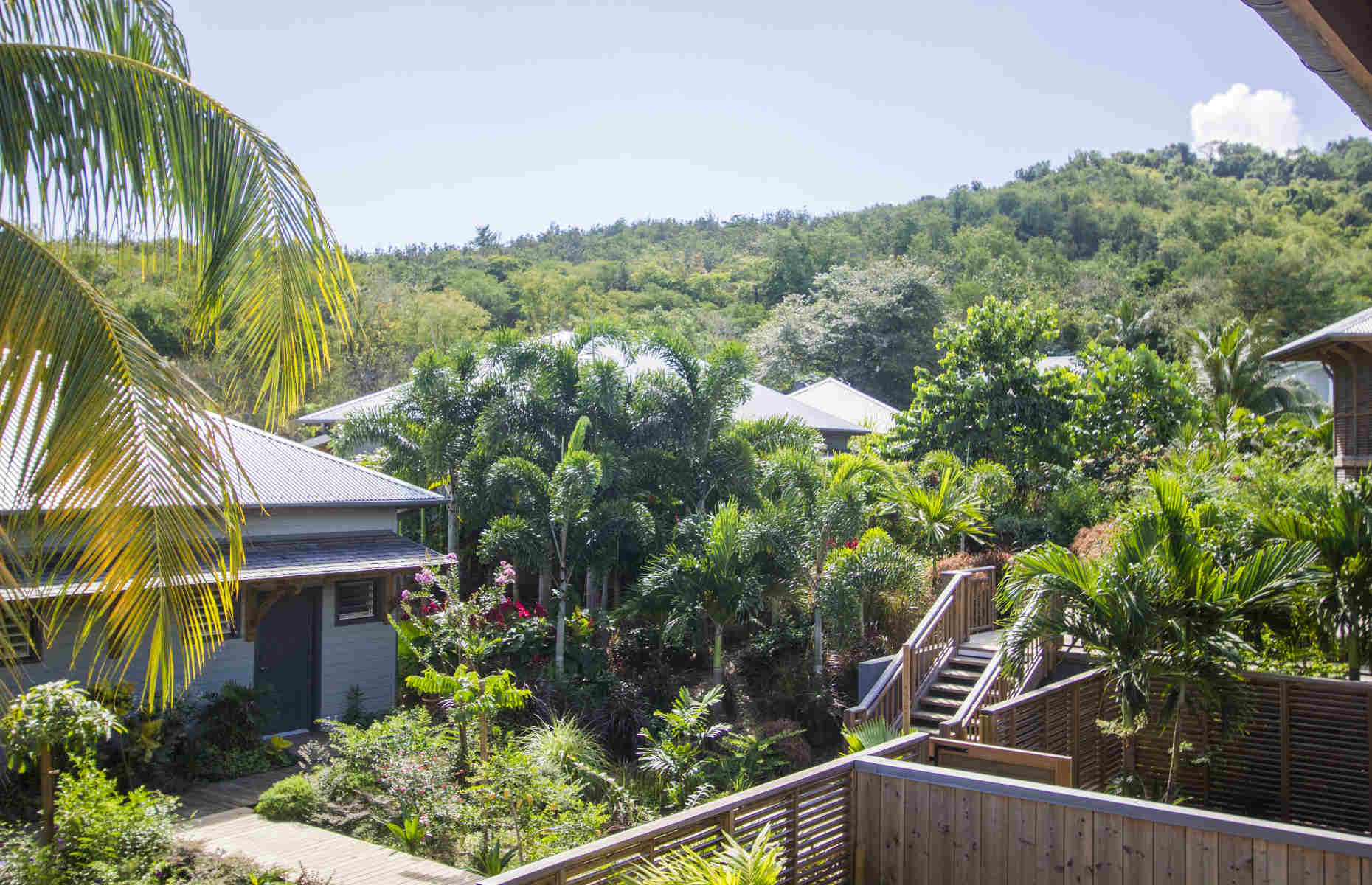 French-coco-martinique