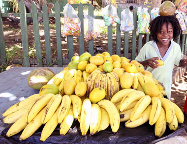 Voyage Grenadines