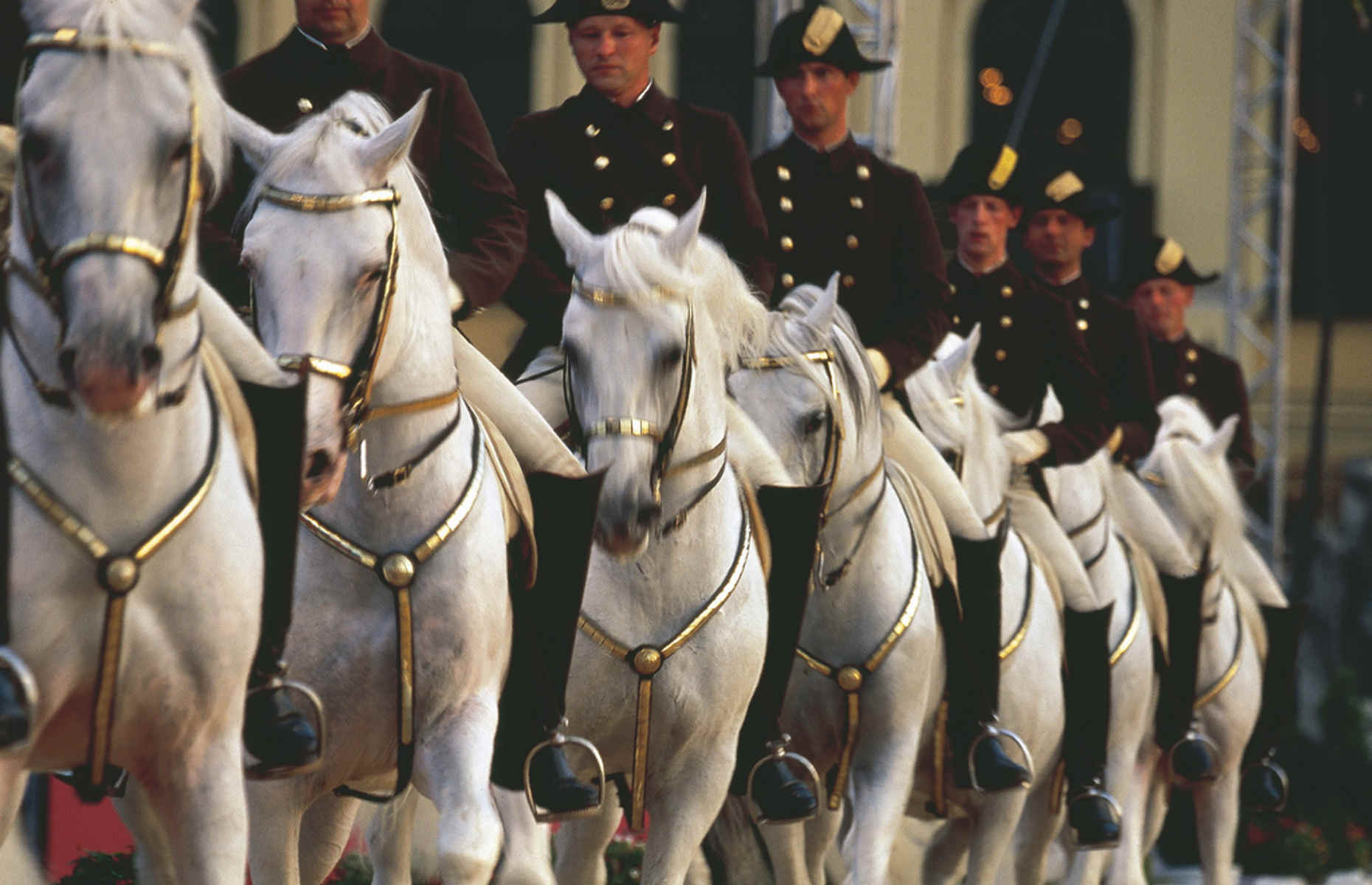 Ecole d'Equitation espagnole - Vienne, Voyage Autriche