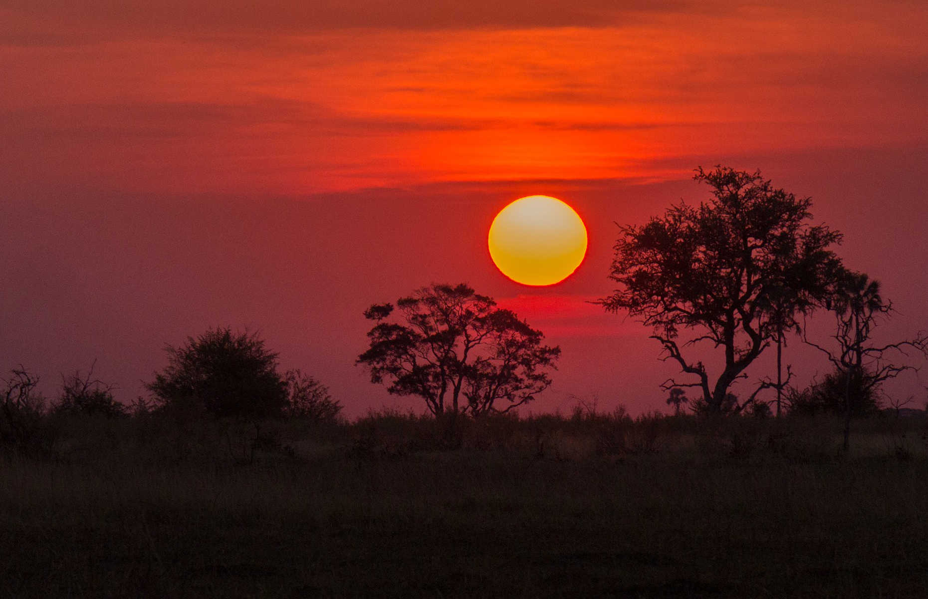 botswana-coucher-soleil