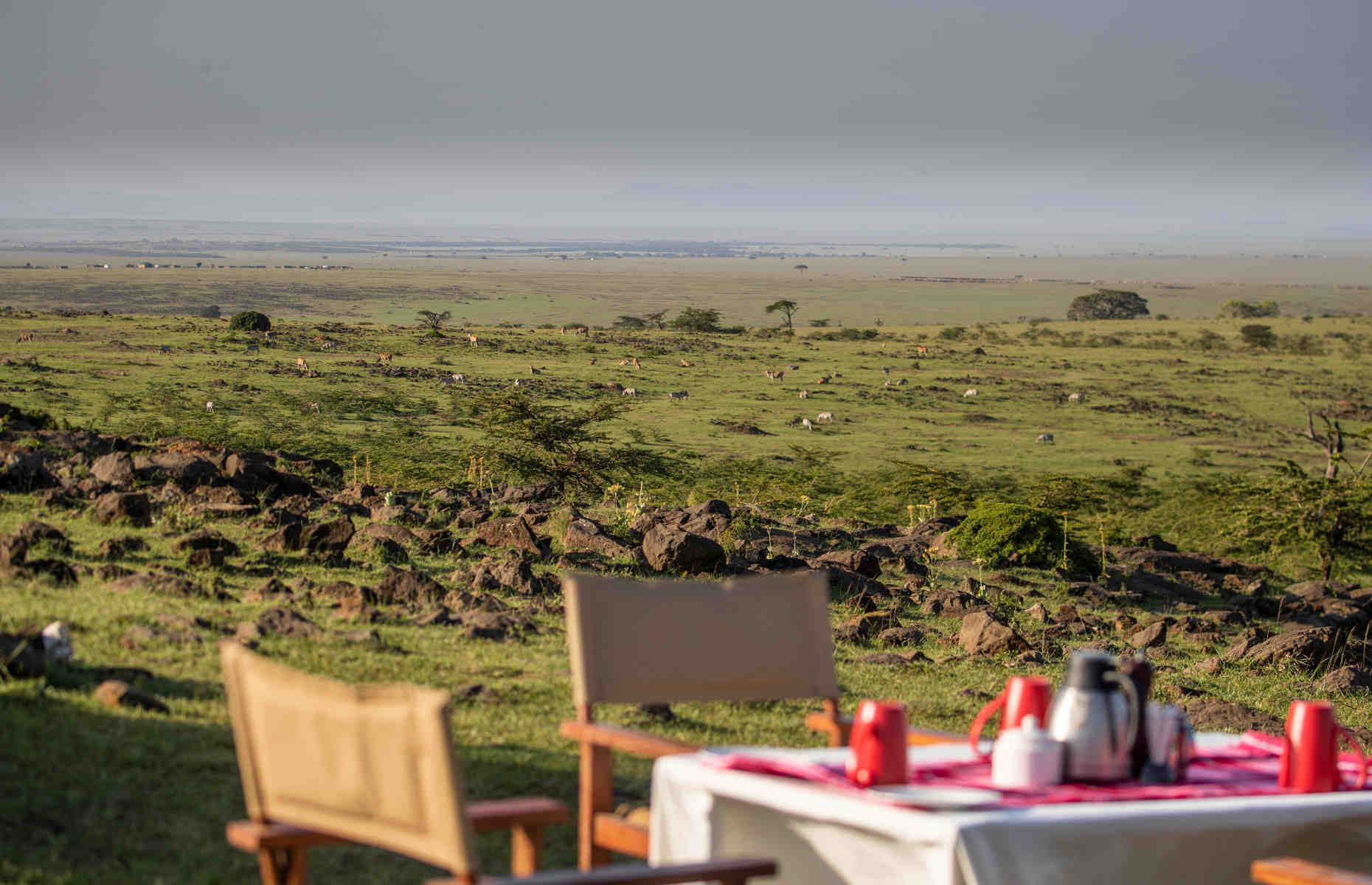 Bush Breakfast - Safari Kenya, Séjour Afrique