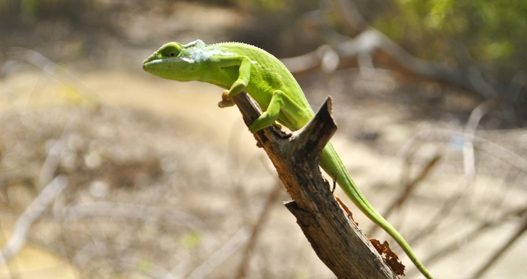 Voyage Mayotte