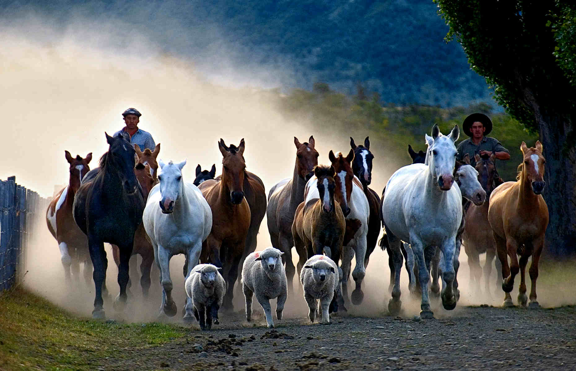 Gauchos - Voyage Patagonie