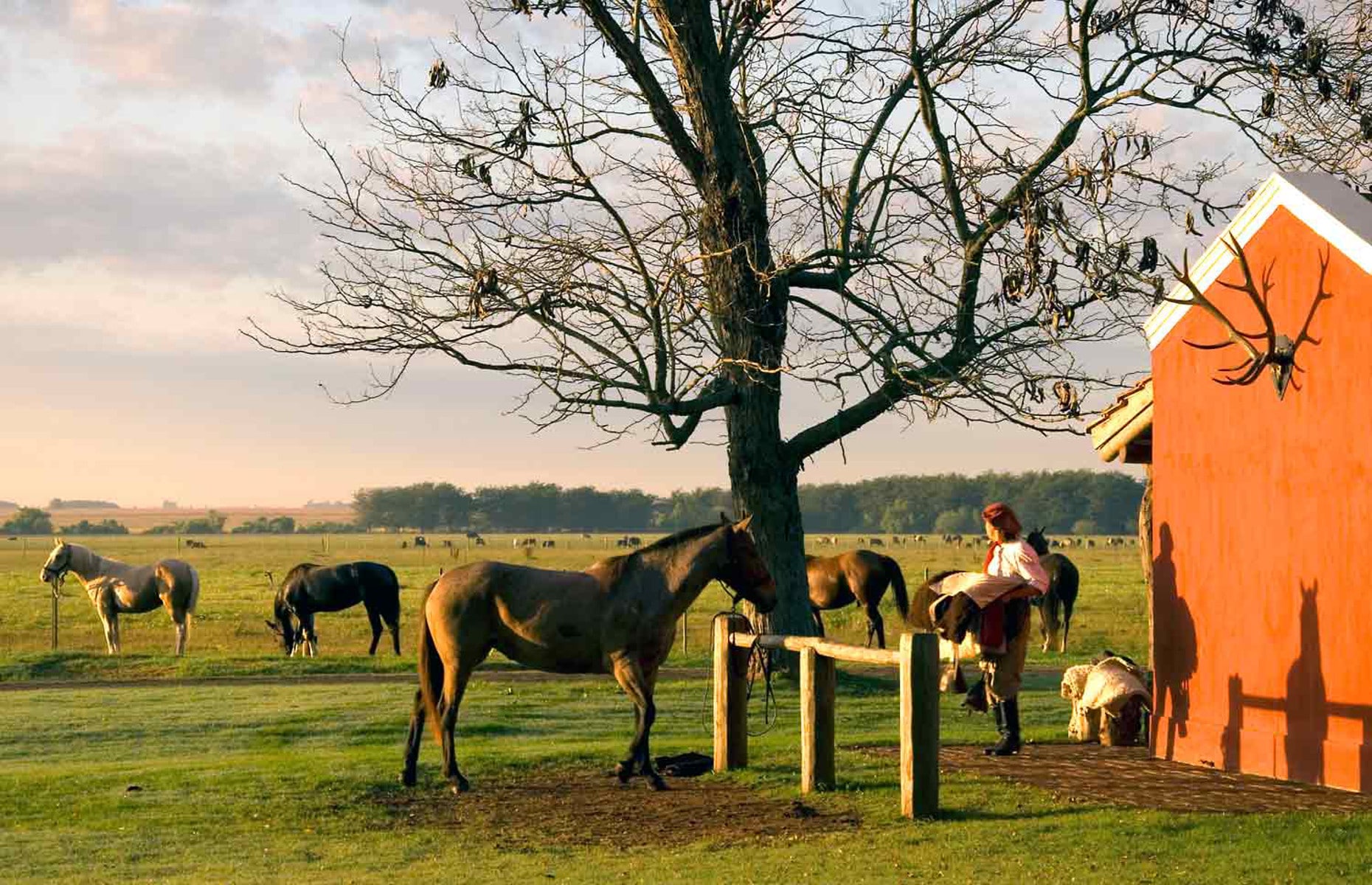 Gauchos - Voyage Argentine