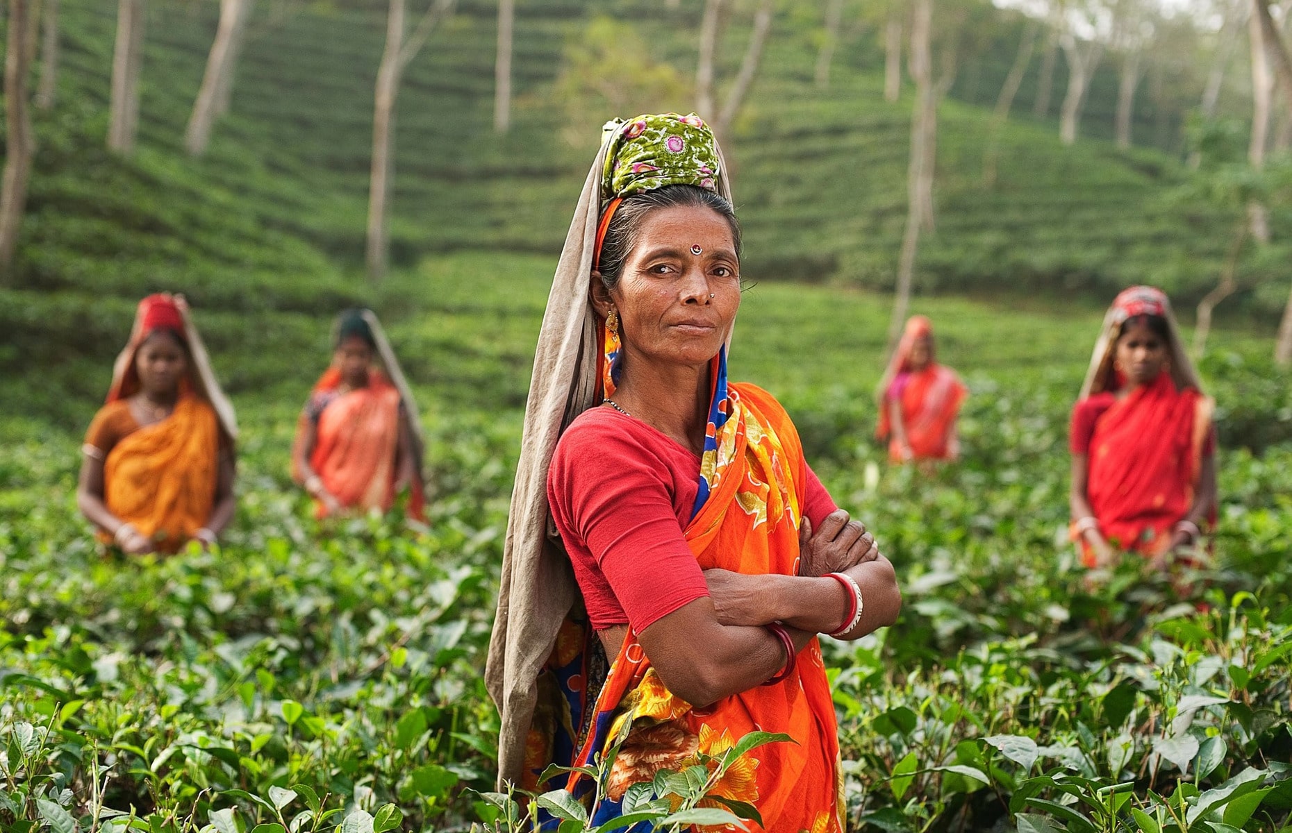 Munnar - Voyage Kerala, Inde