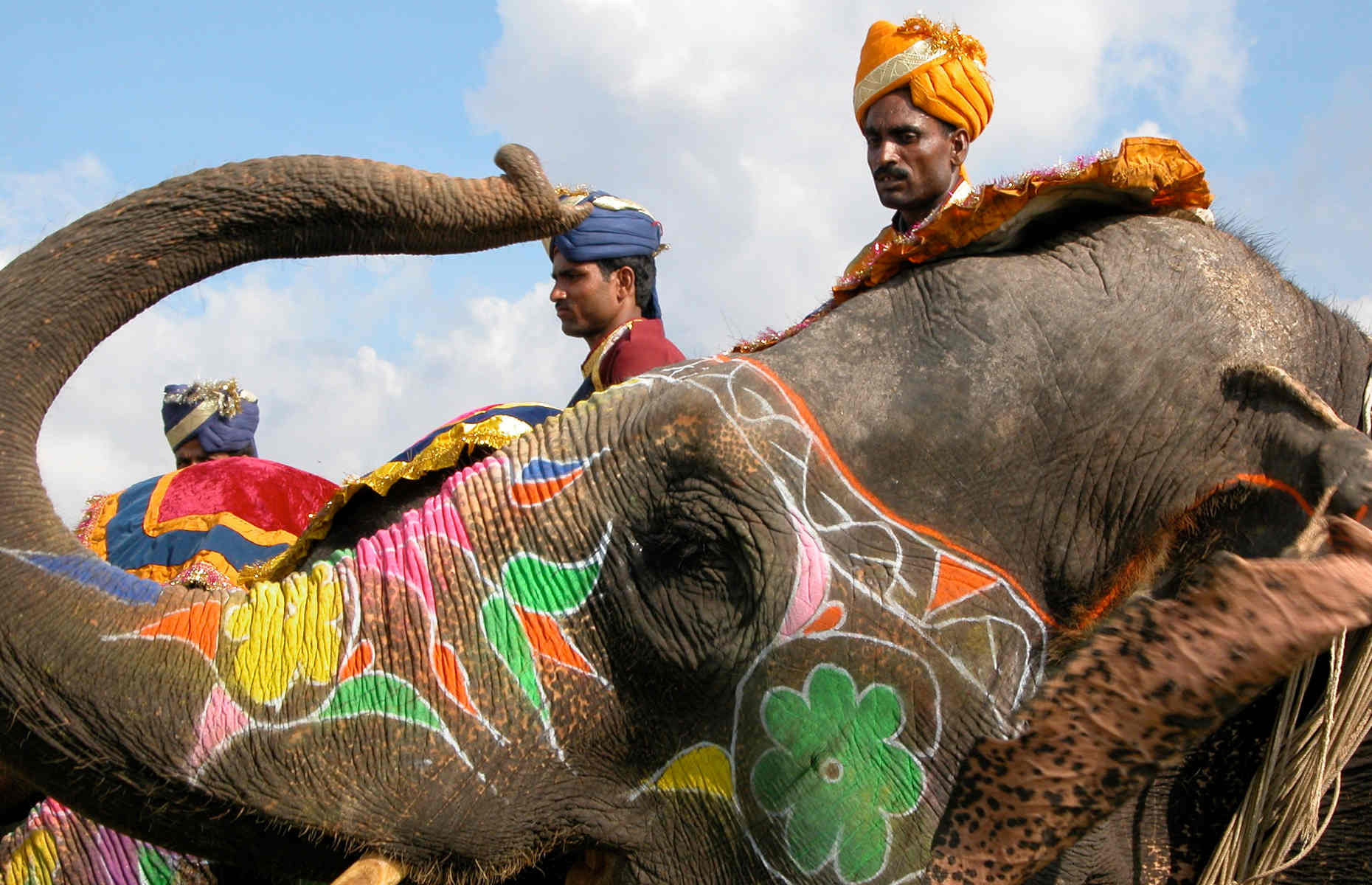 Jaipur-elephants-inde-rajasthan© Sarvin Warden