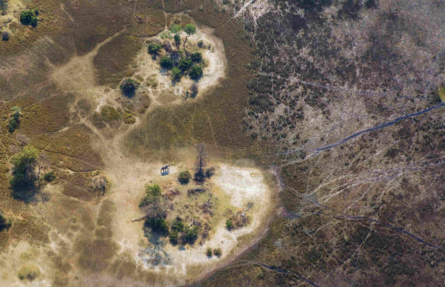 Delta de l'Okavango - Voyage Botswana