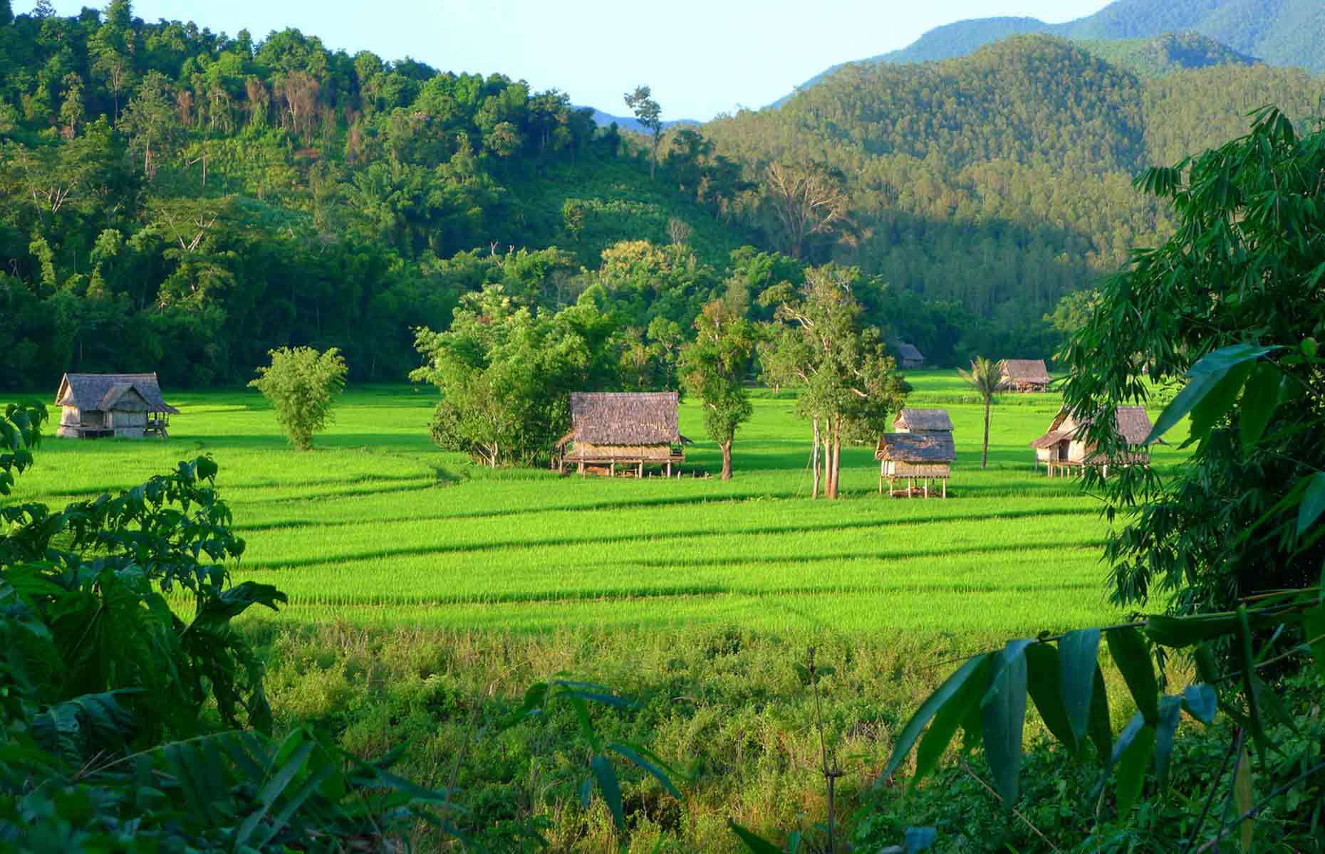 LAOS-PAYSAGE