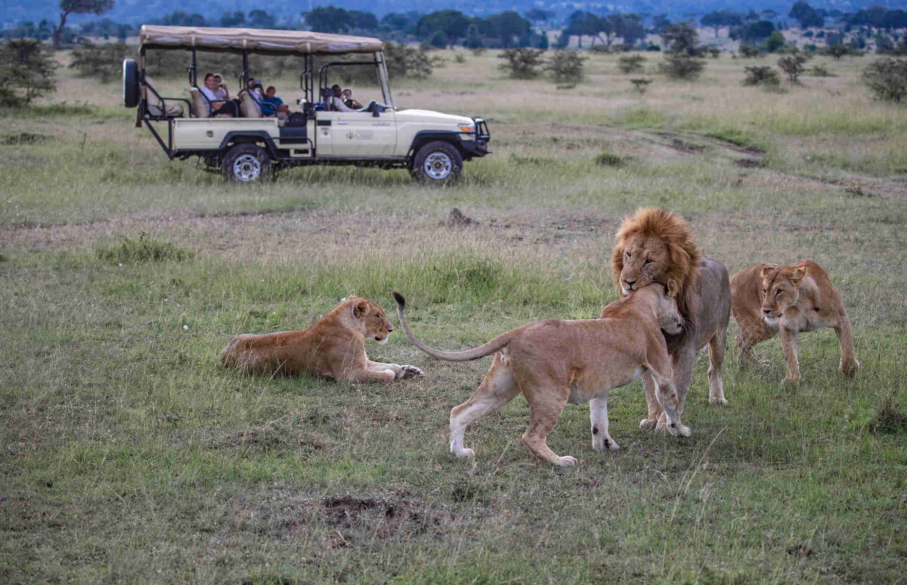 Safari Kenya - Séjour Afrique