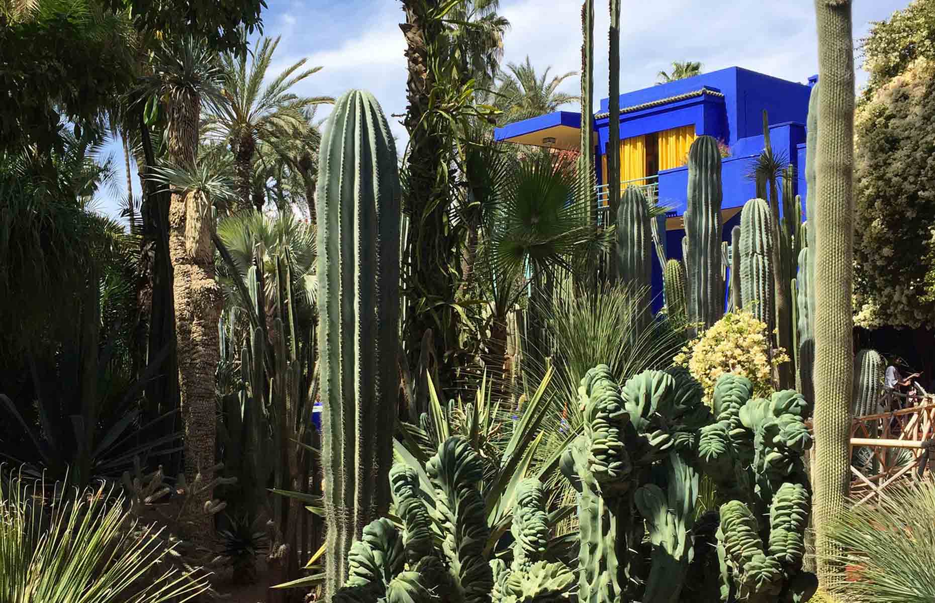 Jardin Majorelle, musée berbère - Séjour Maroc, Voyage Marrakech Essaouira