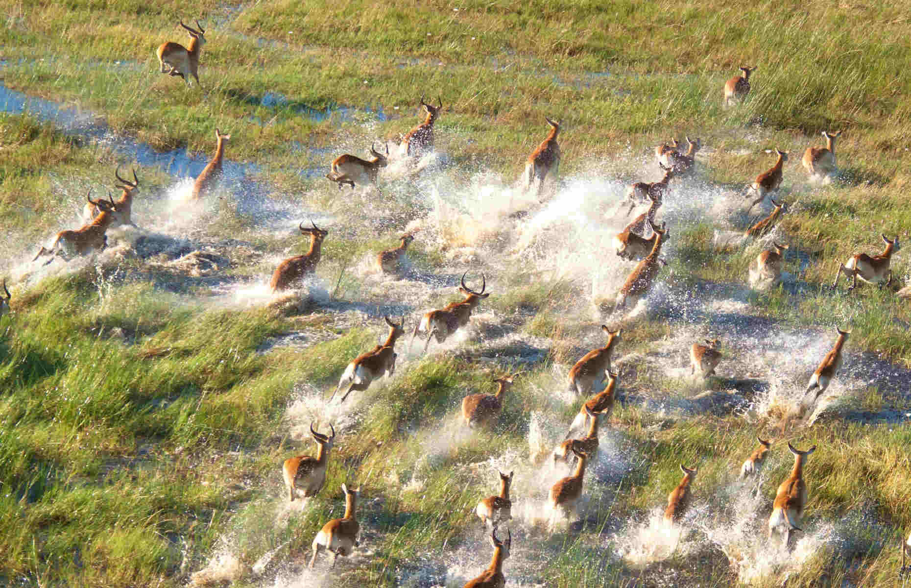 Delta de l'Okavango - Voyage Botswana