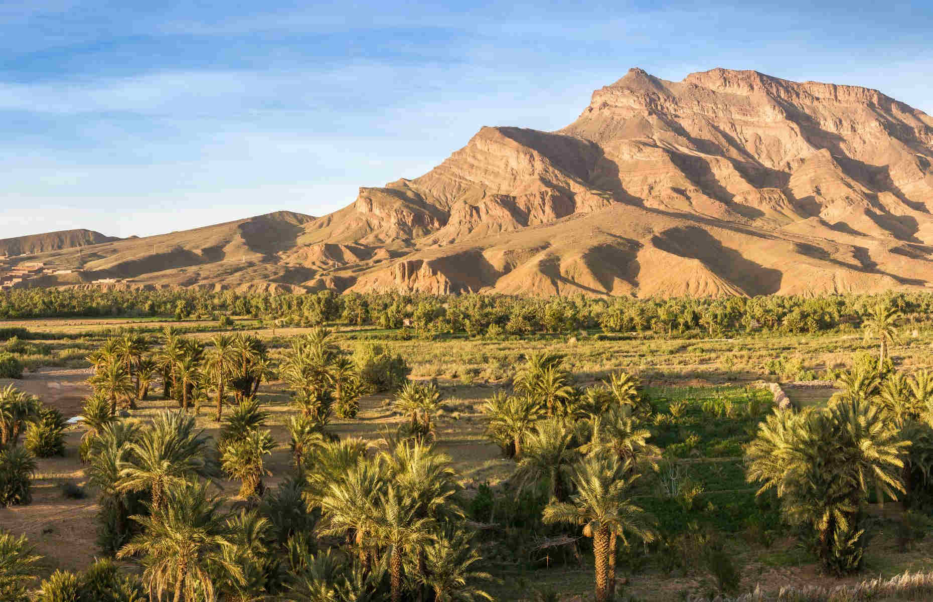 Palmeraie Agdz - Voyage Maroc Bivouac