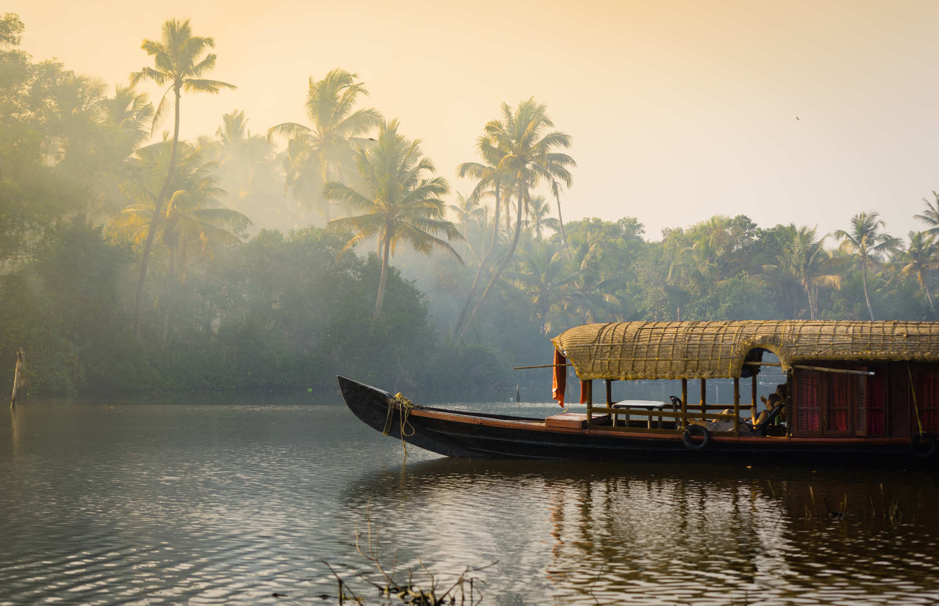 Backwaters - Voyage Kerala, Inde