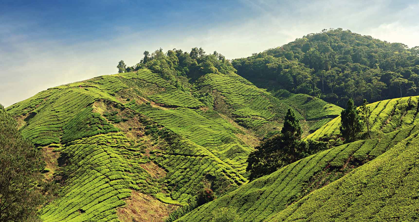 Voyage Sri Lanka