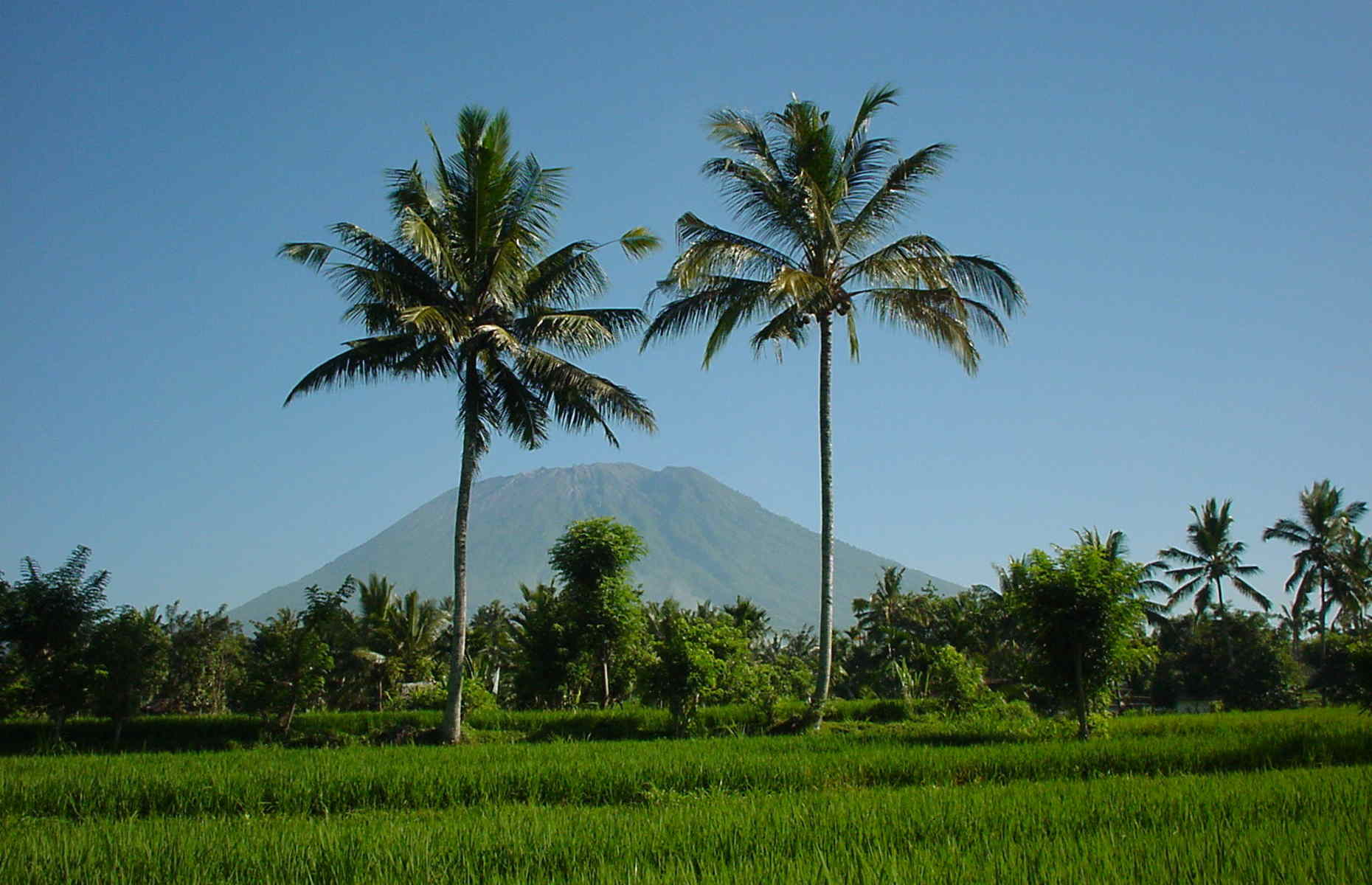 Volcan Agung, Sidemen - Voyage Bali, Indonésie