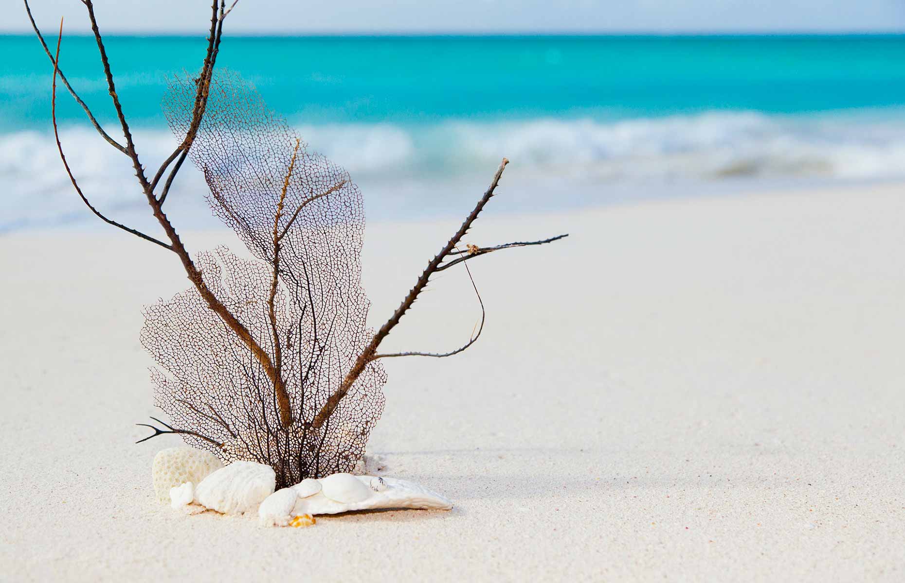 Plage - Séjour Grenadines, Croisière Caraïbes