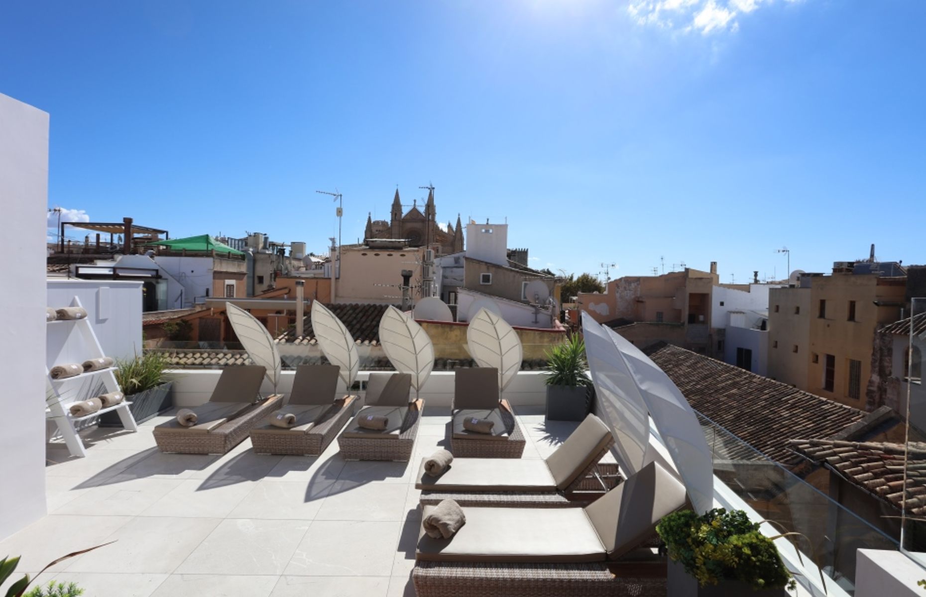 Terrasse Bo Hotel - Hôtel Majorque, Baléares - Espagne