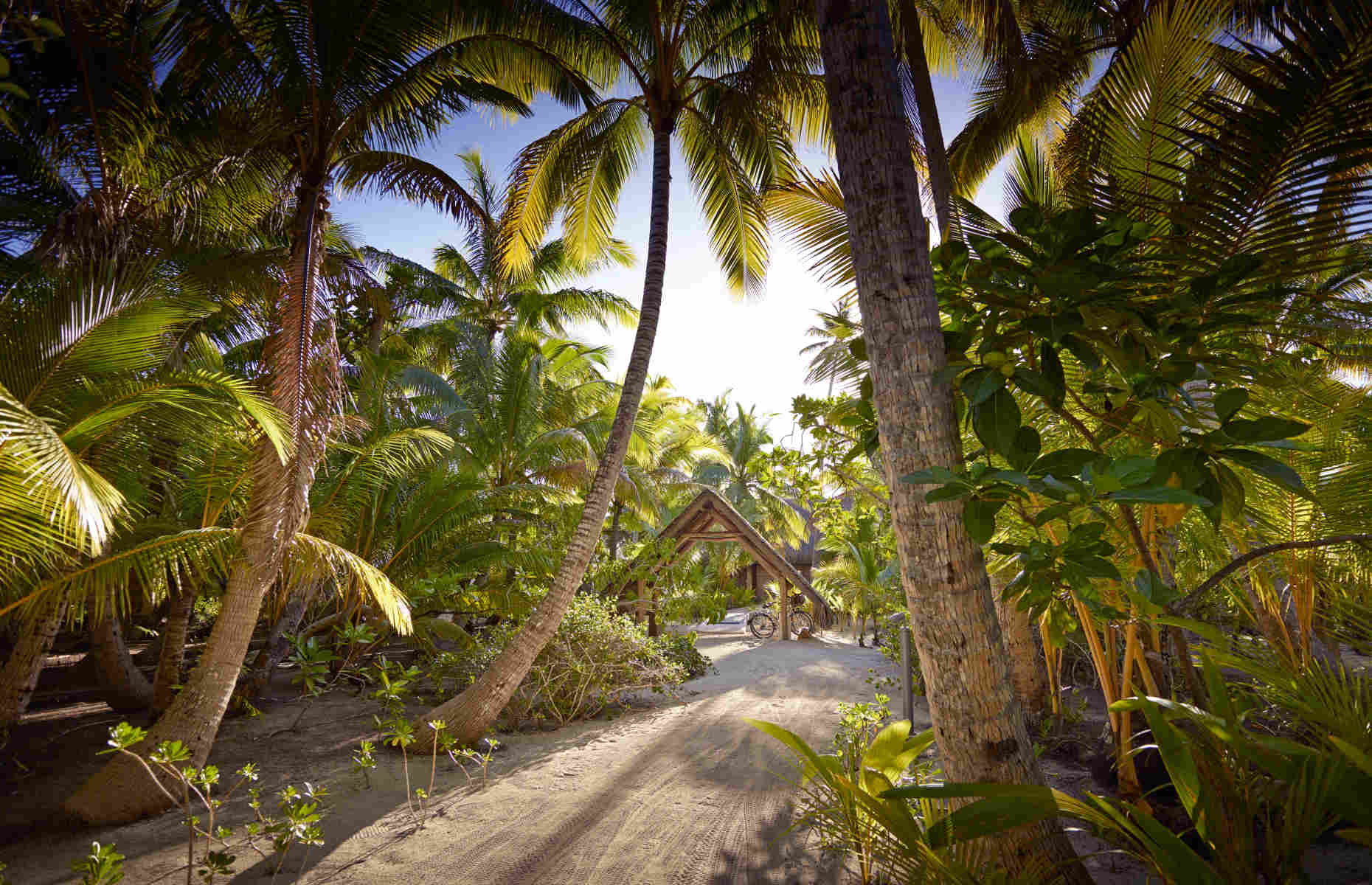 The Brando Tetiaroa - Voyage Luxe Polynésie Française