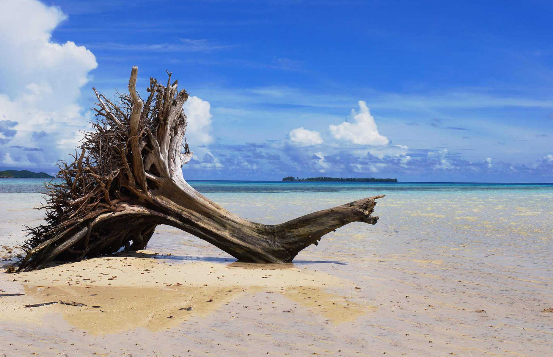 Plage déserte - Séjour îles Carolines, Voyage Palaos