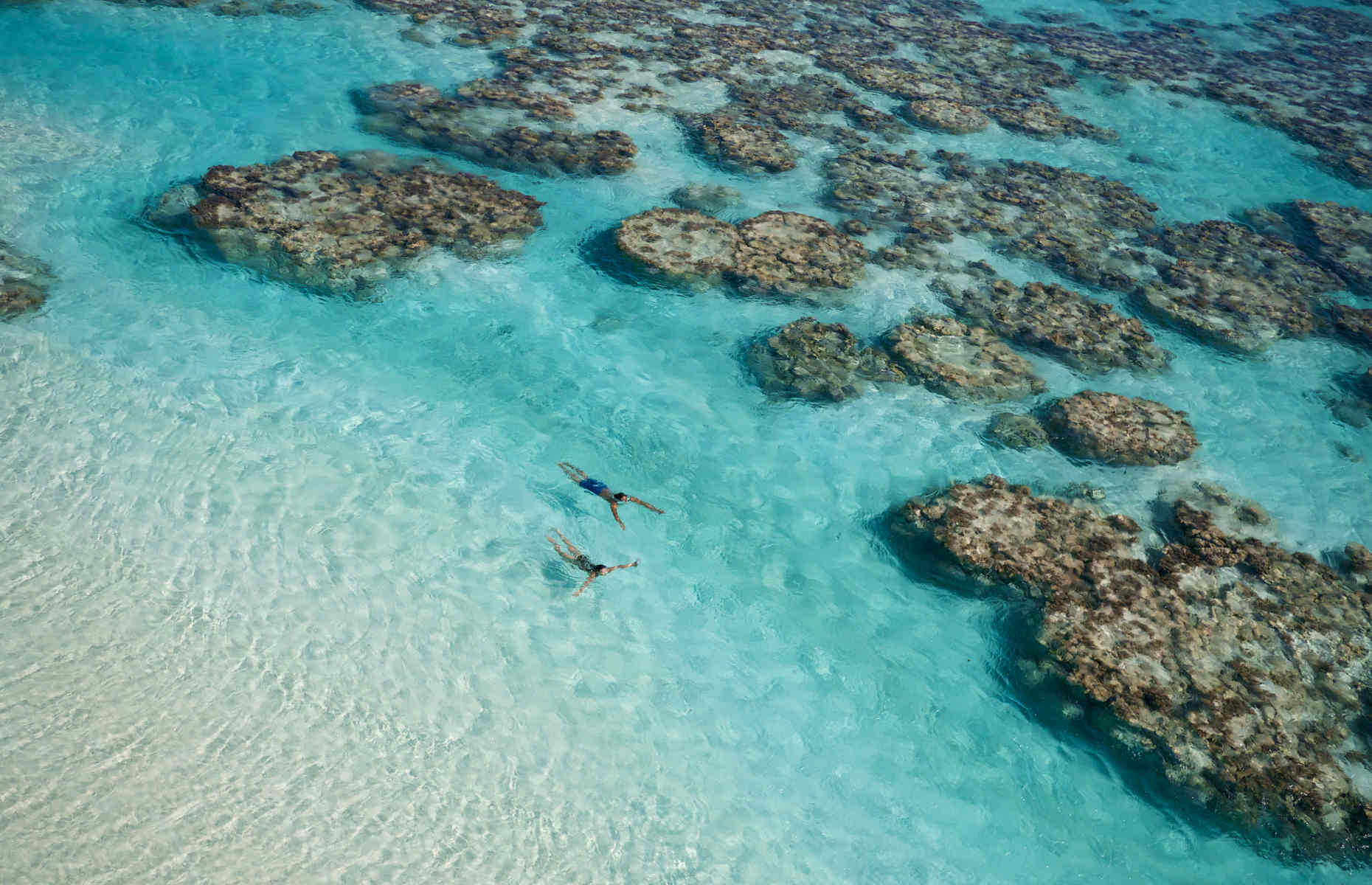 Snorkeling dans le lagon The Brando - Voyage Luxe Polynésie Française