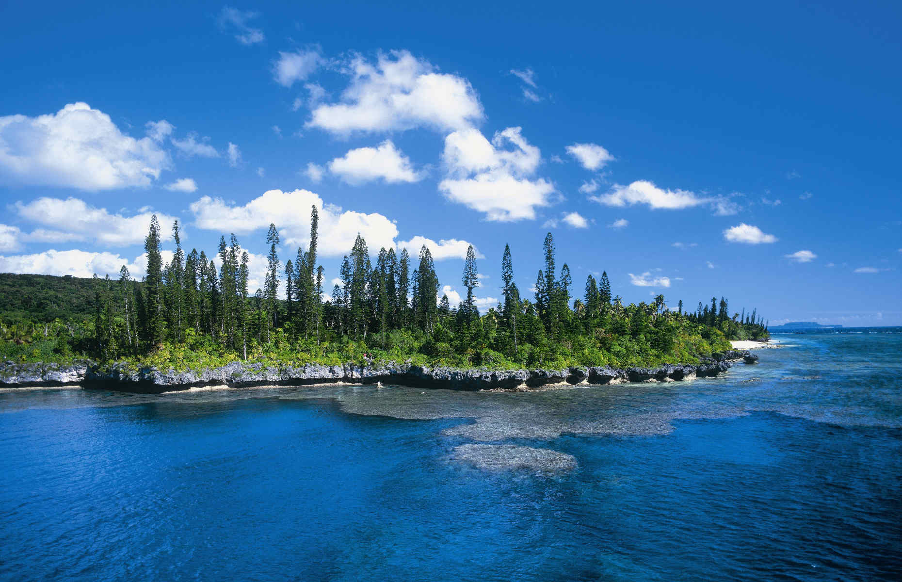 Maré Îles de la Loyauté - Voyage Nouvelle-Calédonie