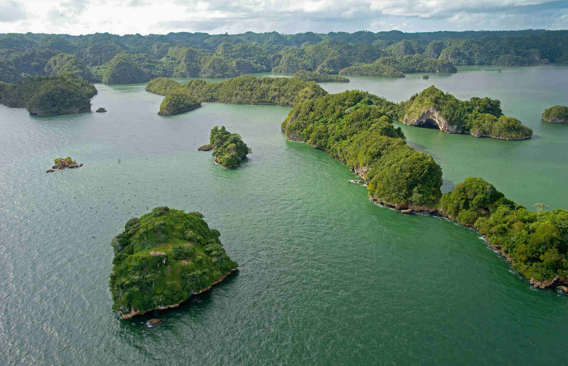 Parc National Los Haitises - Voyage République Dominicaine