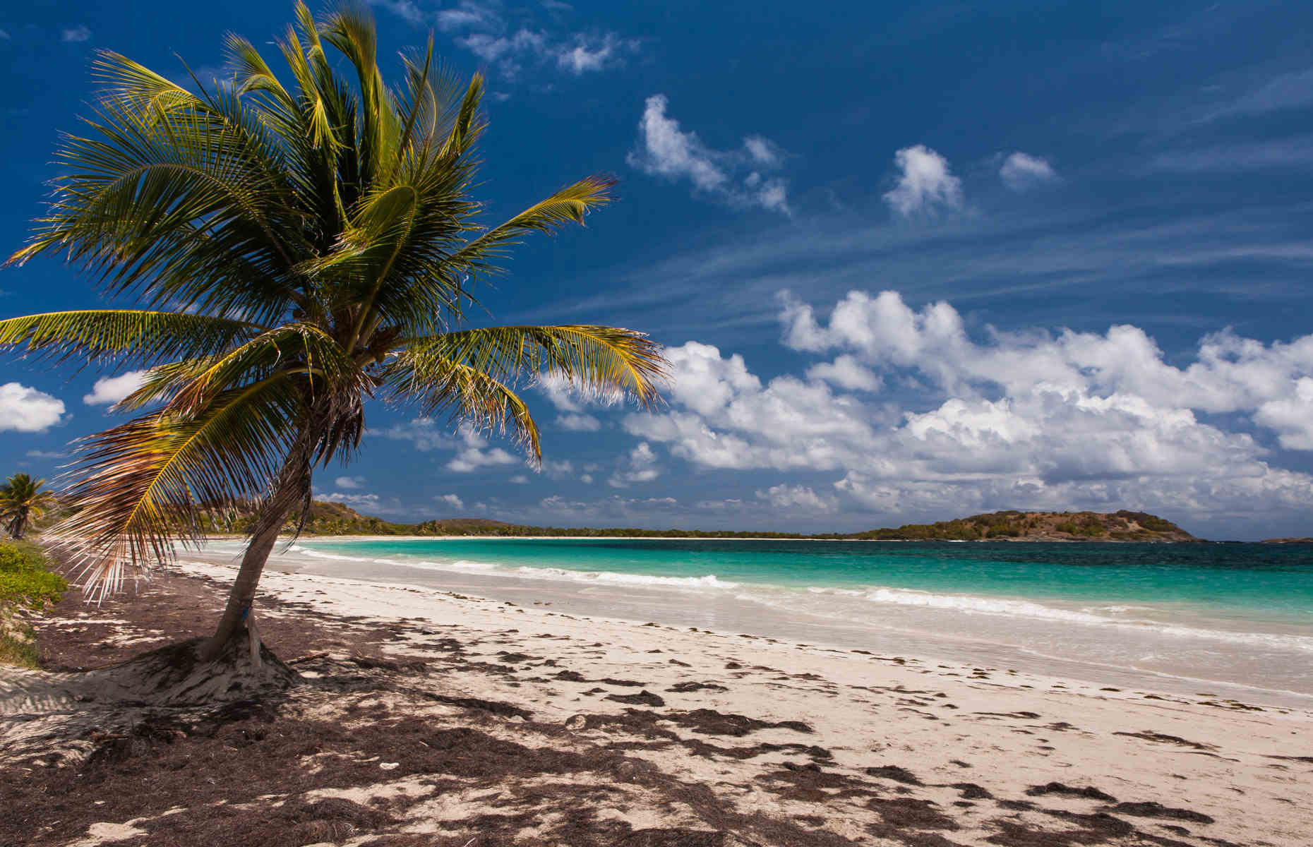 Plage Anse Trabaud - Voyage Martinique