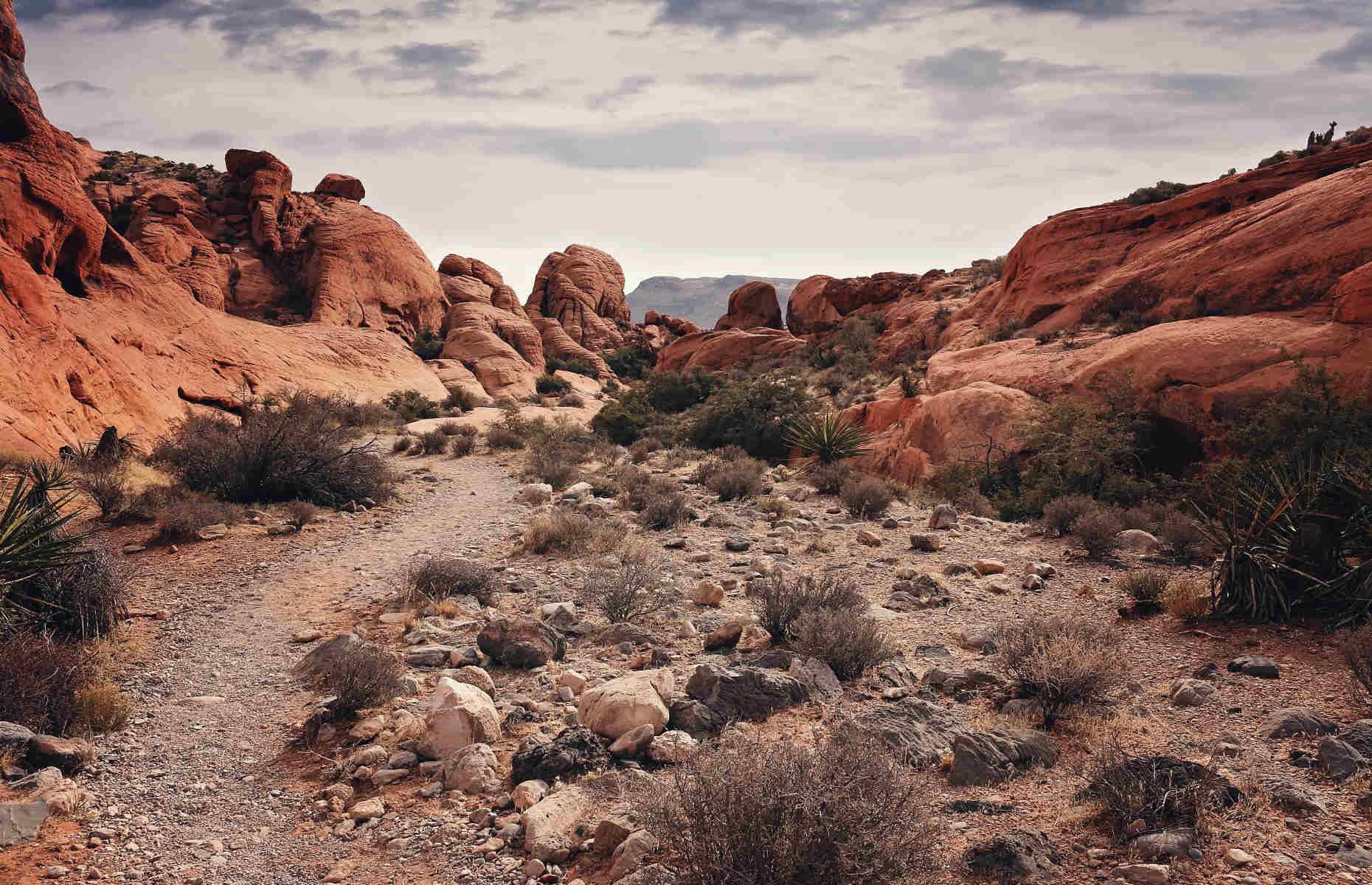 Red Rock Canyon - Etats Unis, Voyage Ouest Américain