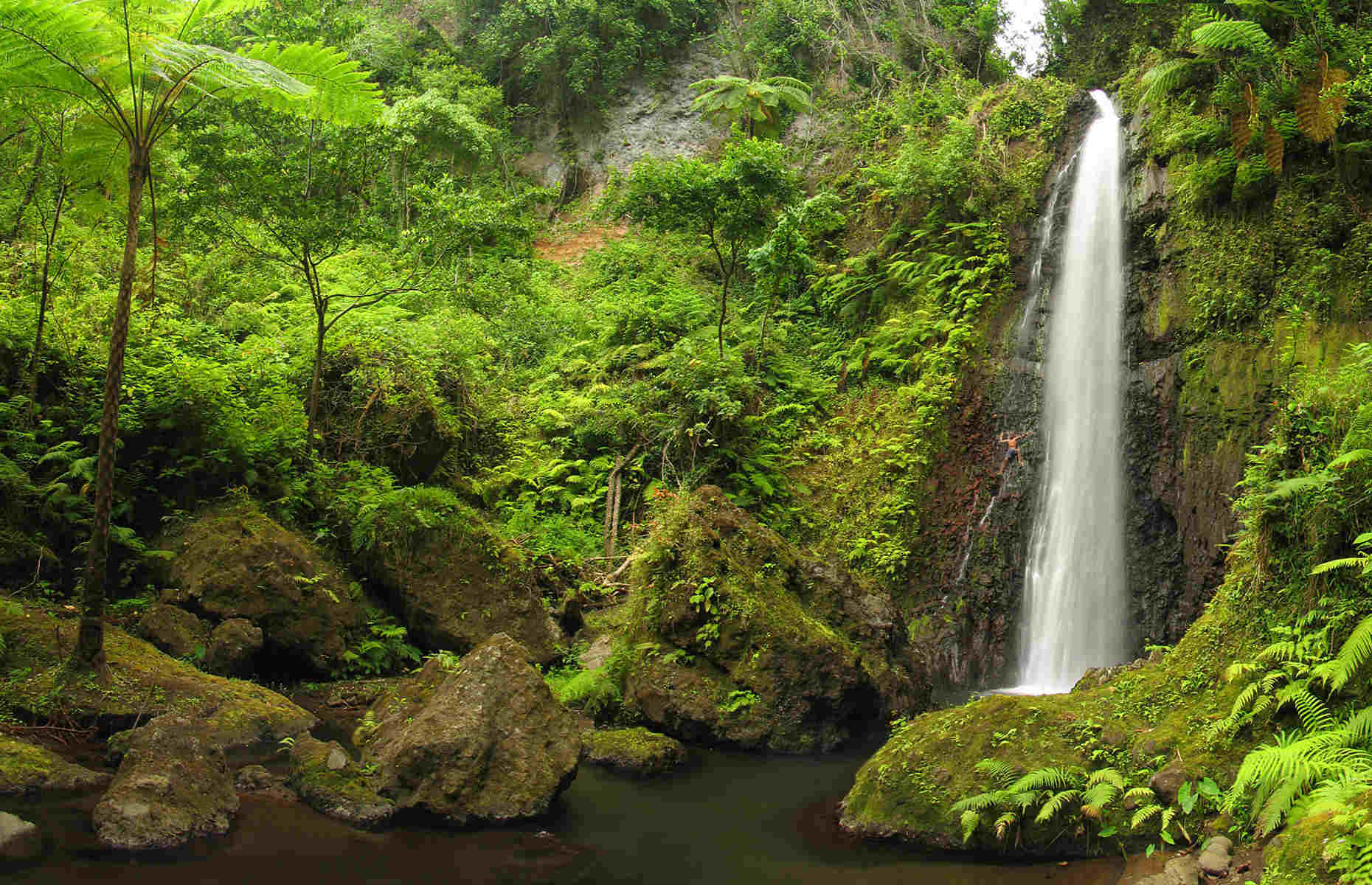 Cascade Île de Tanna - Voyage Vanuatu