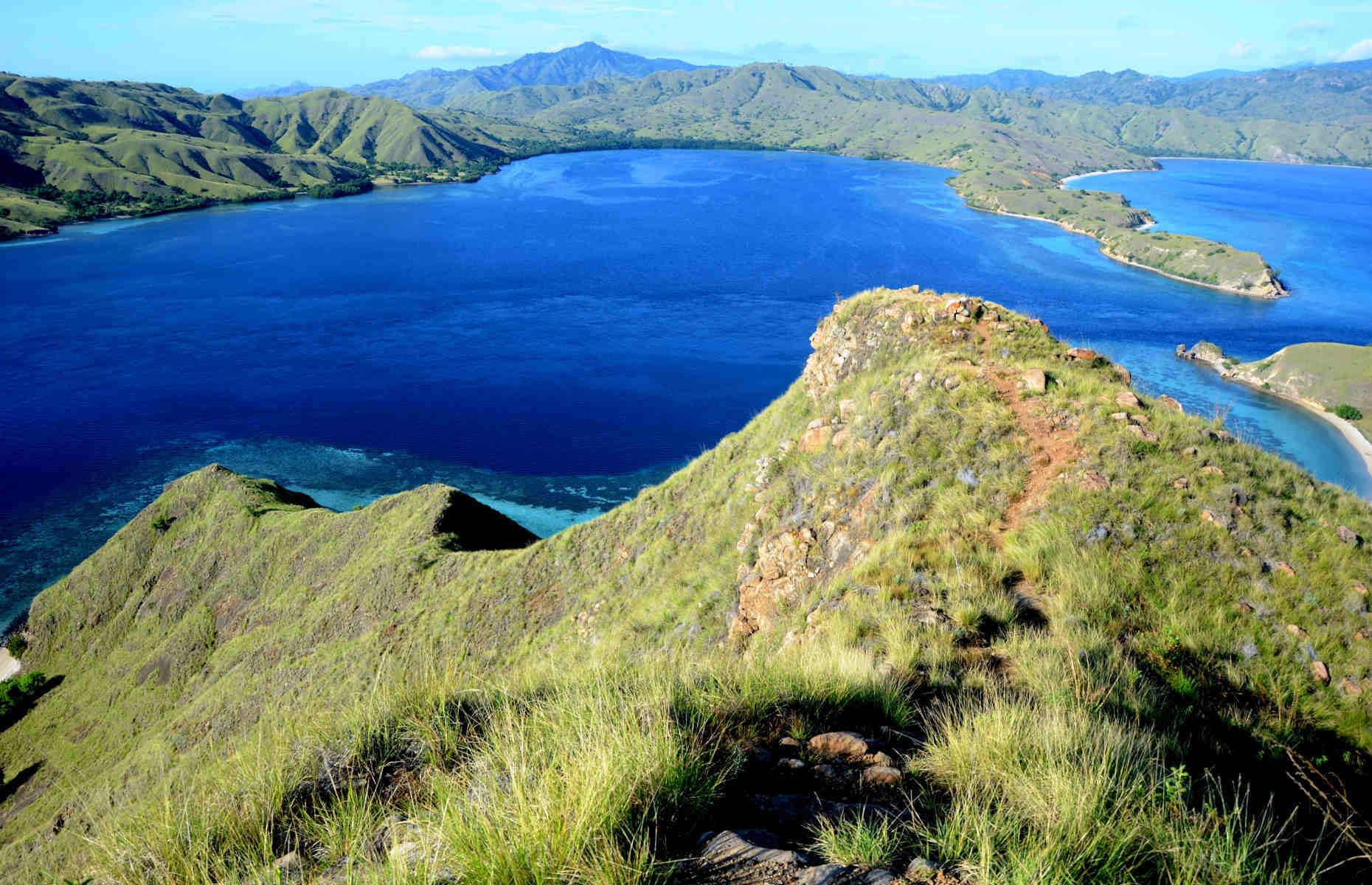 Archipel de Komodo - Adelaar - Voyage Indonésie