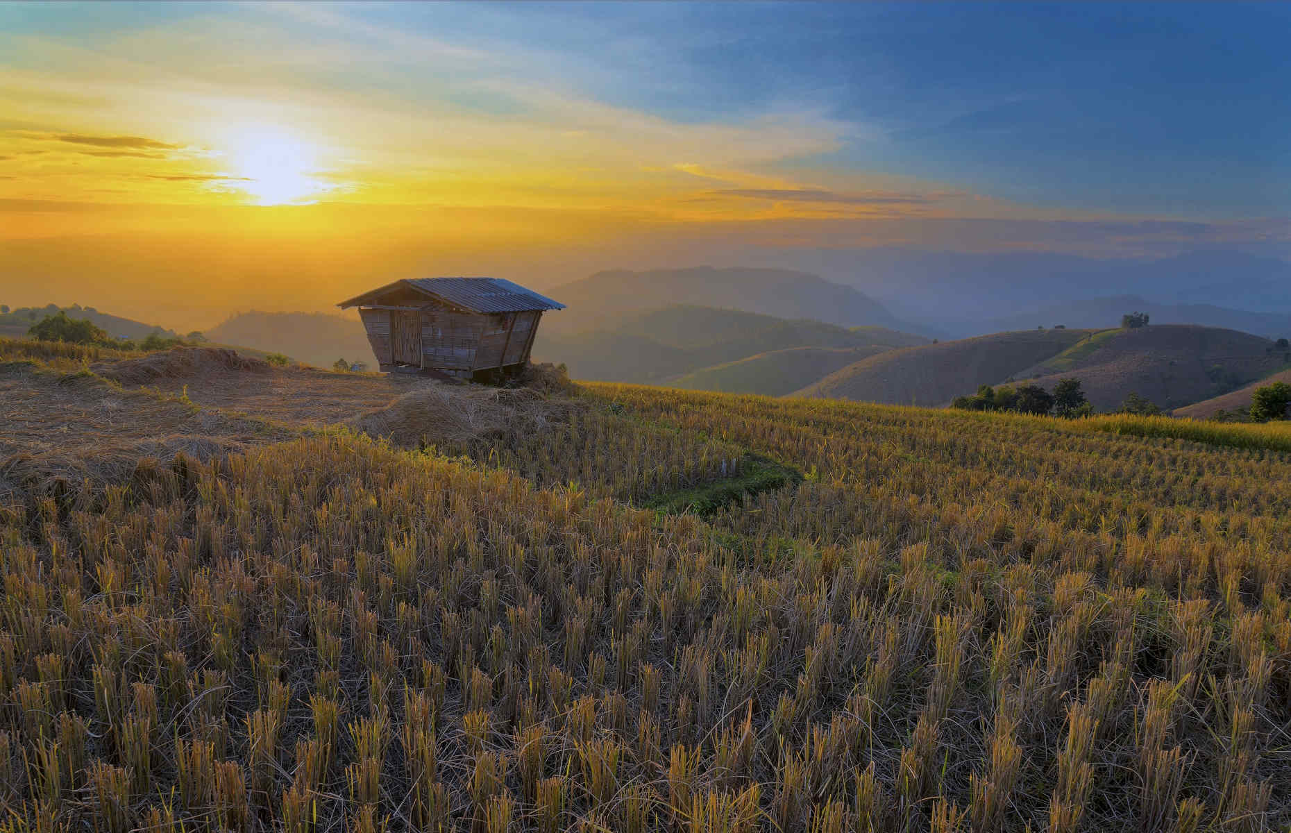 Campagne Chiang Mai - Voyage Thaïlande du Nord