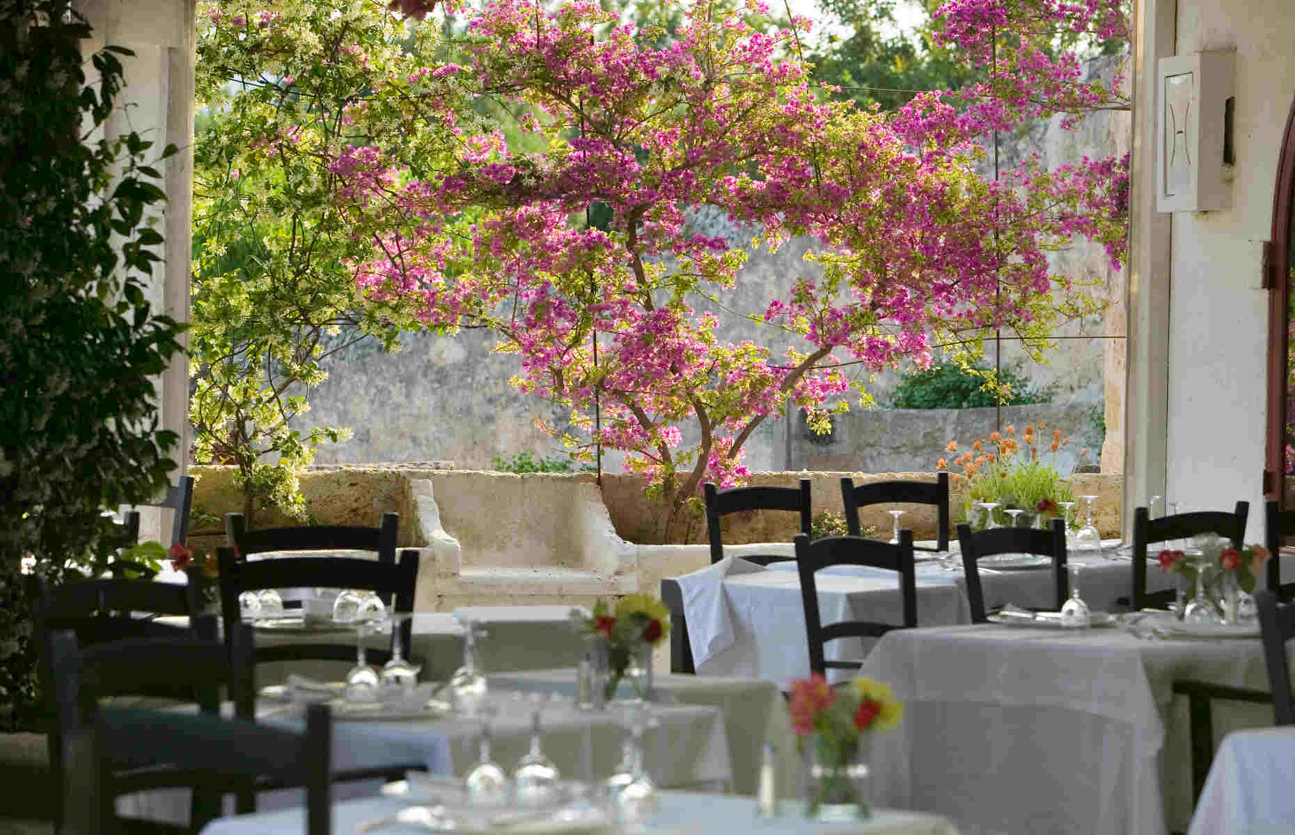 Restaurant Masseria Torre Coccaro - Voyage Pouilles, Italie