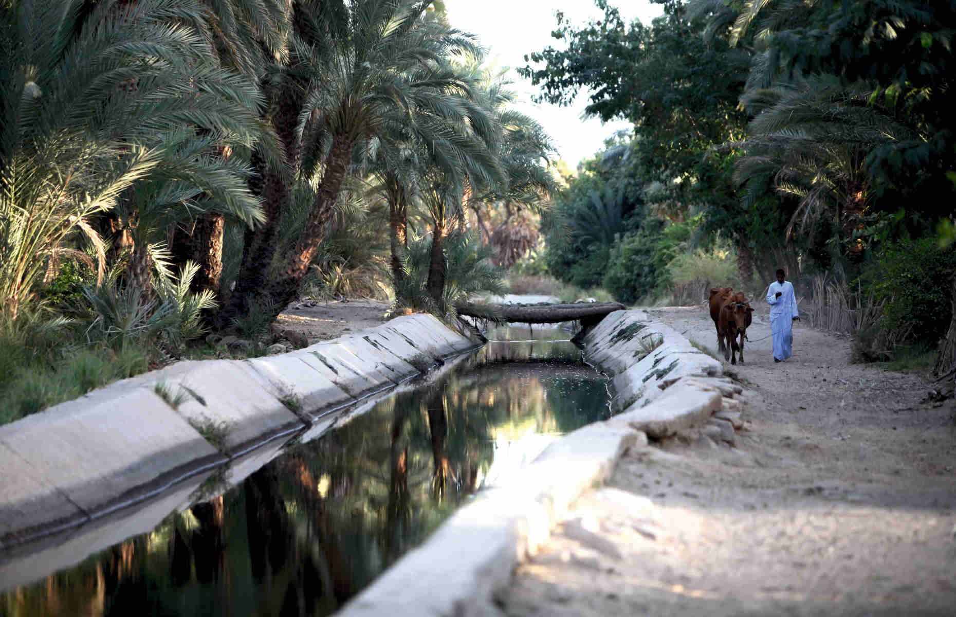 Bords du Nil - Croisière privée sur le Nil, Voyage en Egypte