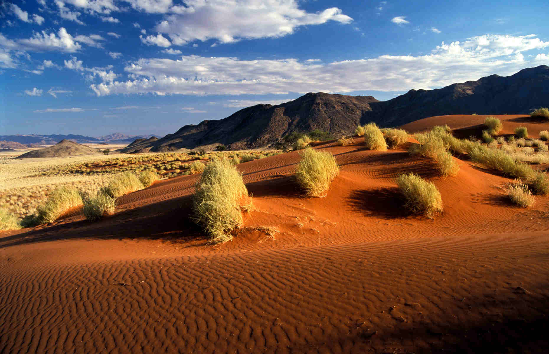 Balade au pays des dunes -Circuit Namibie