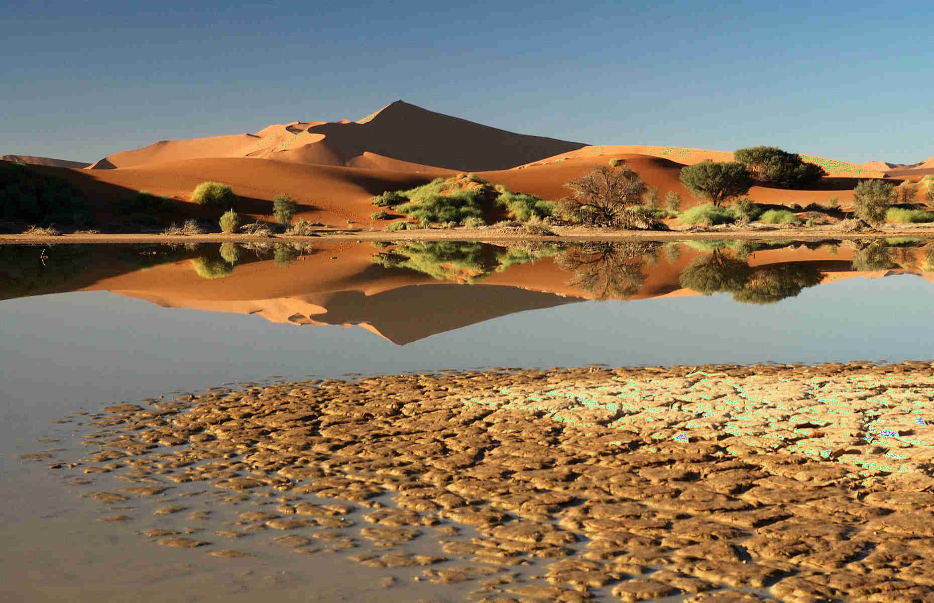 Dunes de Sossuvlei - Voyage en Namibie