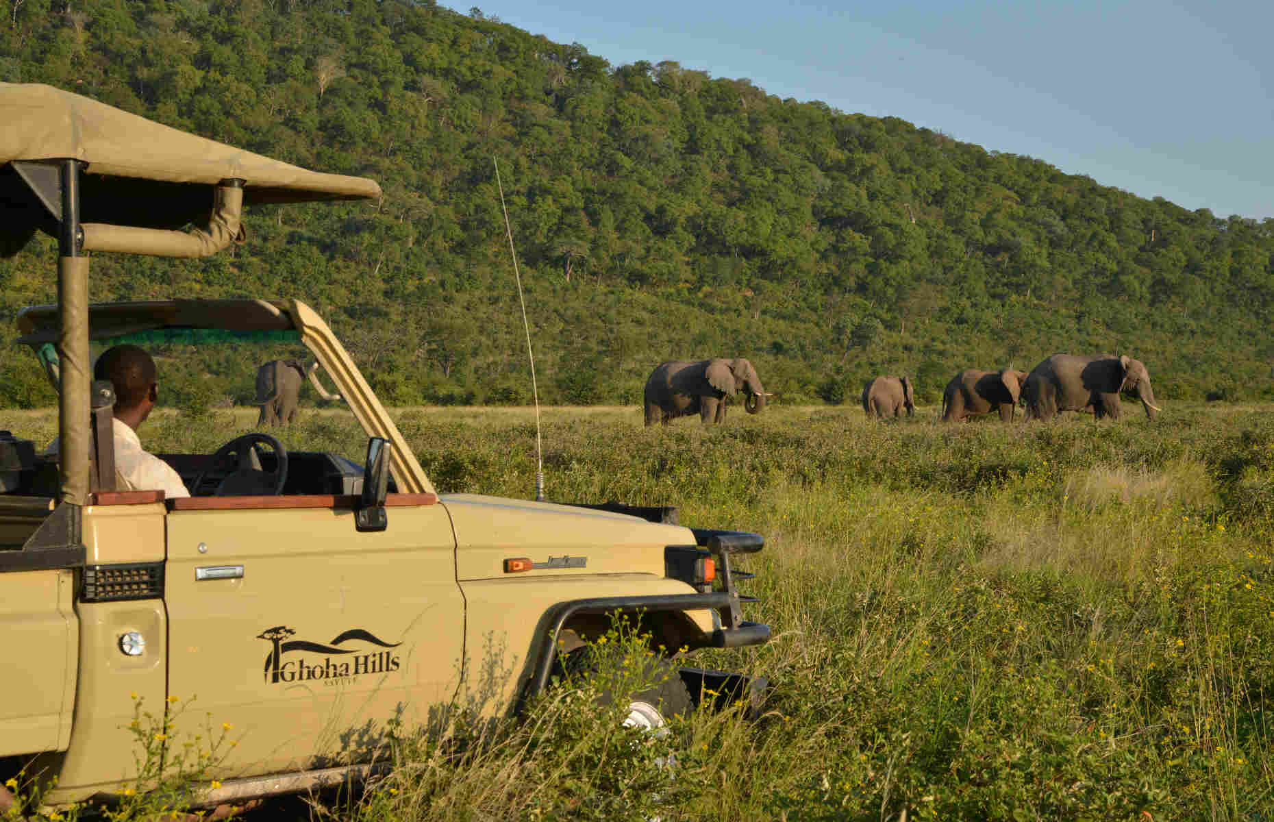 Safari au Ghoha Hills Savuti Lodge - Lodge Parc National de Chobe, Botswana