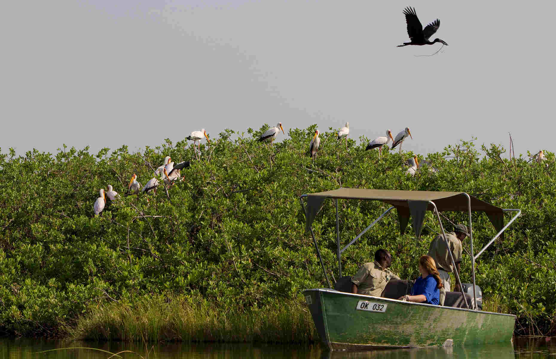 Safari en bateau Kanana Camp - Camp Botswana, Delta de l'Okavango