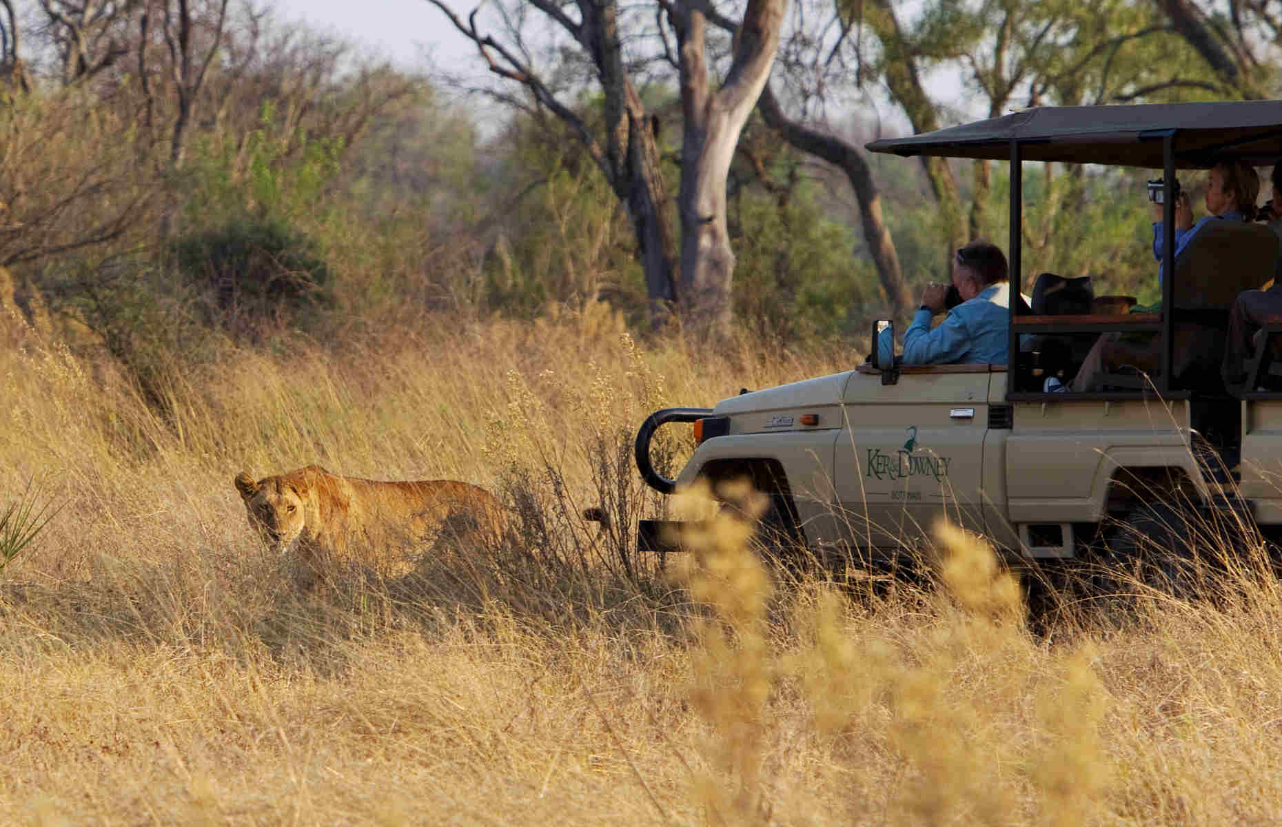 Safari en 4x4 Kanana Camp - Camp Botswana, Delta de l'Okavango