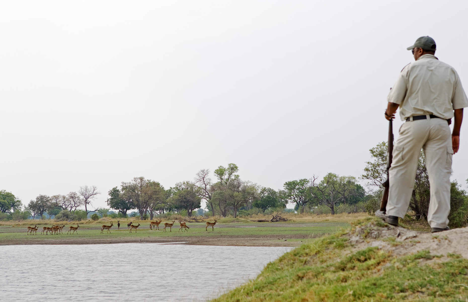 Safari Shinde Camp - Camp au Botswana, Delta de l'Okavango