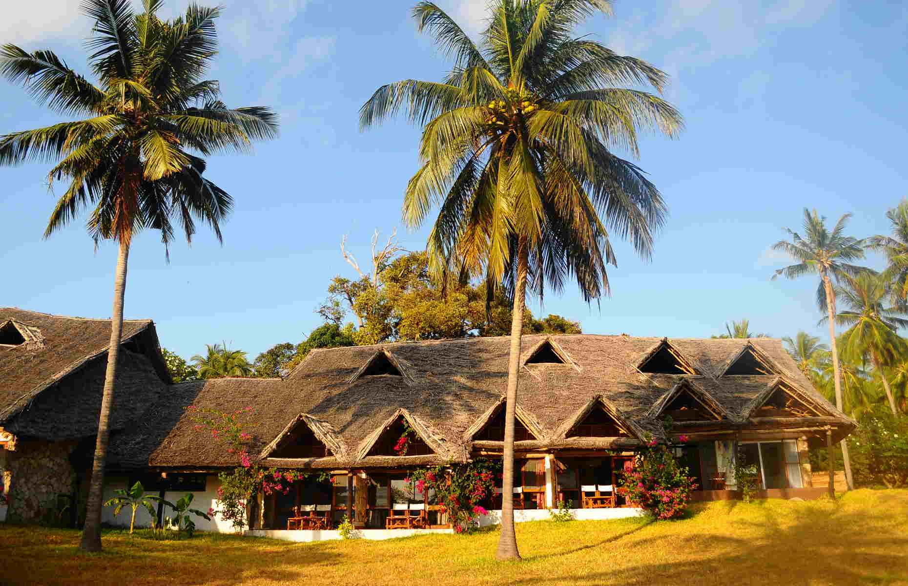 Bungalows Mafia Island Lodge - Hotel Île Mafia, Séjour Tanzanie